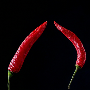 Piments rouges naturels entiers 100% purs, séchés, grossiste/commercant/producteur du Gujarat, FitTree International - Product Image 1