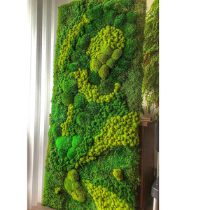 Tùy chỉnh thiết kế "đồng hồ phong cách" bảo quản Tuần Lộc rêu cho nghệ thuật trang trí - Product Image 4