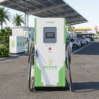 Station de recharge pour véhicules électriques 7kW/22kW/120kW Ganzhong GZ-DC-160L-2 7kW-240kW Chargeur rapide DC pour VE certifié CE TUV Prise Type 2 CCS Station zéro émission avec stockage d'énergie solaire Chargeur rapide DC
