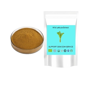 สารสกัดจากผักกาดหอมป่าธรรมชาติคุณภาพสูง ผงแลคทูคา 10:1 - Product Image 5