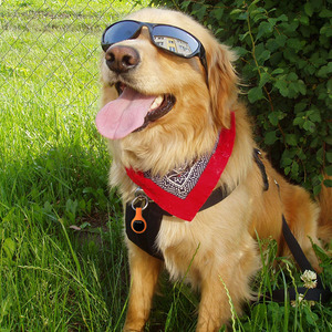 Pet Tracker Thẻ Thông Minh Tìm Kiếm Finder Chống Mất <span class=keywords><strong>GPS</strong></span> Tracker Không Khí Tag Làm Việc Theo Dõi Định Vị Toàn Cầu Thiết Bị Định Vị - Product Image 6