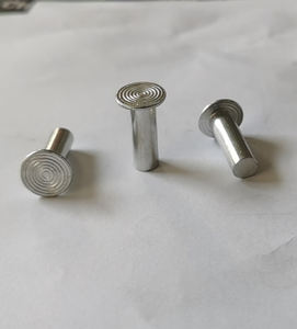 Rivets en aluminium <span class=keywords><strong>de</strong></span> fer d'acier inoxydable <span class=keywords><strong>de</strong></span> longue durée <span class=keywords><strong>de</strong></span> <span class=keywords><strong>vie</strong></span> <span class=keywords><strong>de</strong></span> best-seller pour la condition d'assemblage <span class=keywords><strong>de</strong></span> patin <span class=keywords><strong>de</strong></span> frein nouveau - Product Image 6