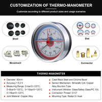 Tridicator Temperature Pressure Gauge Boiler Thermo-Manometer 0-6bar 0-120℃ for Gas Heating Pump