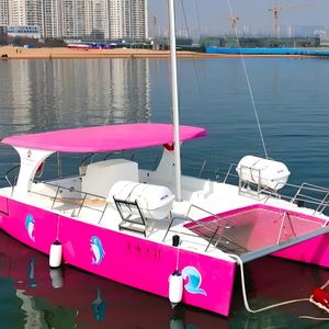 Catamaran à voile de luxe en fibre de verre 10m*4.9m avec moteur 1*90HP pour divertissement en haute mer, pêche, tourisme et excursions - Product Image 2