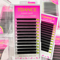 Extensions de cils en forme de Y TDANCE personnalisées, 0,07 carats, D, 8-12 mm, cils YY, doux, 3D, 4D, 5D, Cilios W Lash avec boucle LC et BC