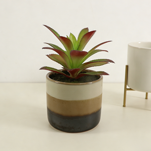 Suculenta Artificial Realista con Hojas Puntiagudas <span class=keywords><strong>en</strong></span> <span class=keywords><strong>Maceta</strong></span> de Cerámica Degradada con Tierra Artificial de 13 cm, <span class=keywords><strong>Agave</strong></span> Artificial para Decoración de Sala de Estar o Dormitorio - Product Image 6