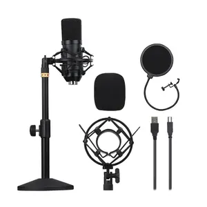 Microfone de estúdio de gravação, condensador personalizado, logotipo, microfone, choir, condensador, qualidade ic, sem ruído branco