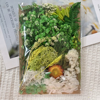 Natürlich Konservierte Gepresste Getrocknete Blumen und Pflanzen für Gemischte Packungen, Handwerk, Aromatherapie, Kerzen, Epoxidharz DIY-Zubehör