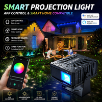 Magical Firefly Laser Light-Control remoto/APP, cable de 5m para jardín/césped-para tiempo familiar nocturno