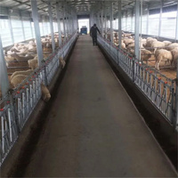 Cierre Automático para Cabras, Ovejas y Ganado, Abrazadera de Cuello de Acero Galvanizado para Equipo de Gestión Agrícola