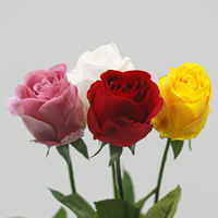 Rose artificielle réaliste au toucher naturel, style bulgare élégant, pour mariage, anniversaire, cadeau, décoration intérieure, arrangement de luxe