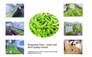 WYLFOODS prezzo di fabbrica all'ingrosso all'ingrosso IQF semi di soia sgusciati congelati chicchi di <span class=keywords><strong>edamame</strong></span> prezzo - Product Image 3