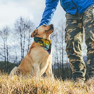 Proveedor de Productos para Mascotas, Pañuelos Triangulares y Cuadrados de Moda al por Mayor, Pañuelos para el Cuello Estampados o Lisos, Pañuelo Personalizado con Logotipo para Mascotas, Pañuelo para Perros - Product Image 6