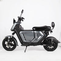 Moto électrique tout-terrain longue portée Paige 100KM avec double batterie lithium 60V-30AH – Vélo-taxi électrique avancé