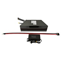 Paquete de Baterías de Litio AMORGE 20S13P 72V 65AH 325A con BMS ANT Bluetooth para CRF450