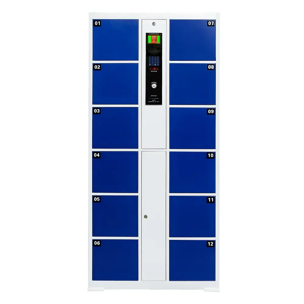 Supermarket Self Pick up Electronic Smart Metal Storage Cabinet Parcel Delivery Locker for Sales