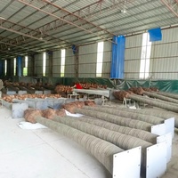Vente en gros de grand palmier dattier directement de l'usine Décoration d'extérieur Simulation Vent Neige Résistant aux UV Palmier en métal de 10 pieds de haut Cocotier