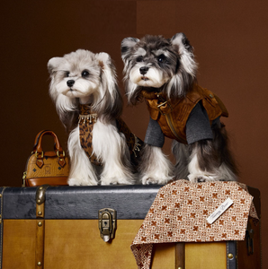 Ropa para perros Traje de invierno Schnauzer Oso de peluche Bichon Frise Moderno de lujo Ecológico Chaleco de cuero sin mangas - Product Image 3