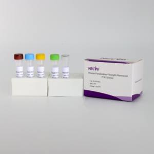 <span class=keywords><strong>Kit</strong></span> qPCR du gène gB du virus de la pseudorage à haute sensibilité | 50 tests/certifiés CE - Product Image 3