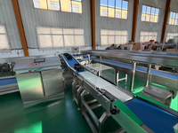 Ligne de machines automatisées pour le lavage, le cirage, le tri, la calibrage et l'emballage des oranges