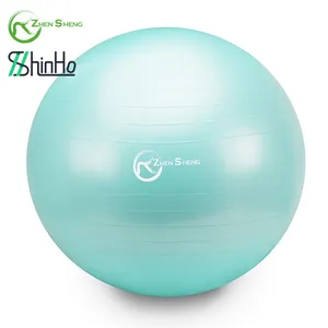 Gym Ball Zhensheng Custom Logo Yoga Ball Gym Exercise Ball Fitness Equipment Gym Exercise Accessory Pilates Ball