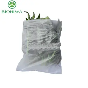 BPI compostable siêu thị cán trái cây túi Rau sinh thái thân thiện phân hủy sinh học sản xuất túi nhựa trên một cuộn