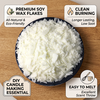 Cire de soja en feuille à 52 degrés pour bougies parfumées DIY, matière première artisanale, cire en pot, cire de fleur de glace, cire de coco, cire de gelée