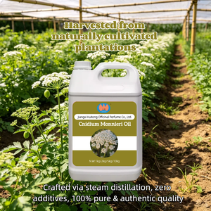 <span class=keywords><strong>Huile</strong></span> <span class=keywords><strong>Essentielle</strong></span> de Cnidium Monnieri 100% Pure en Gros, Pressée à Froid, Naturelle, Répulsif Moustiques, Hydratante, Massage Corporel Quotidien, Fraîcheur Quotidienne - Product Image 3