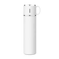Bouteille isotherme haut de gamme de 580 ml avec poignée, filtre à thé intégré, personnalisation sur mesure, commande en gros pour clients professionnels d'élite
