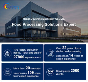 Joyshine Op Maat Gemaakte Emmerliftliftapparatuur Voor Groenten-En Fruitproductielijn Voor Emmertransportband - Product Image 4