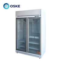Armoire de réfrigération pour boissons à porte vitrée, congélateur vertical, congélateur alimentaire, armoire à basse température à congélation rapide