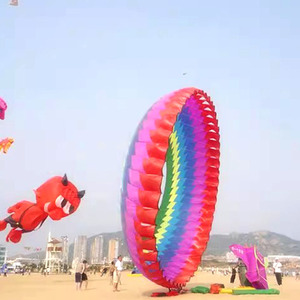 Les grands cerfs-volants de <span class=keywords><strong>dragon</strong></span> de sol mou 3D sur mesure pour les compétitions de vol en plein air proviennent d'usines chinoises - Product Image 5