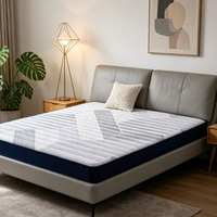 Matelas en mousse éponge épaissie pour un confort optimal, absorption des chocs, sommeil silencieux, matelas en mousse insonorisant pour chambre de couple