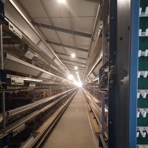 Gallinas ponedoras para pollos, cobertizo de acero para aves de corral - Product Image 3