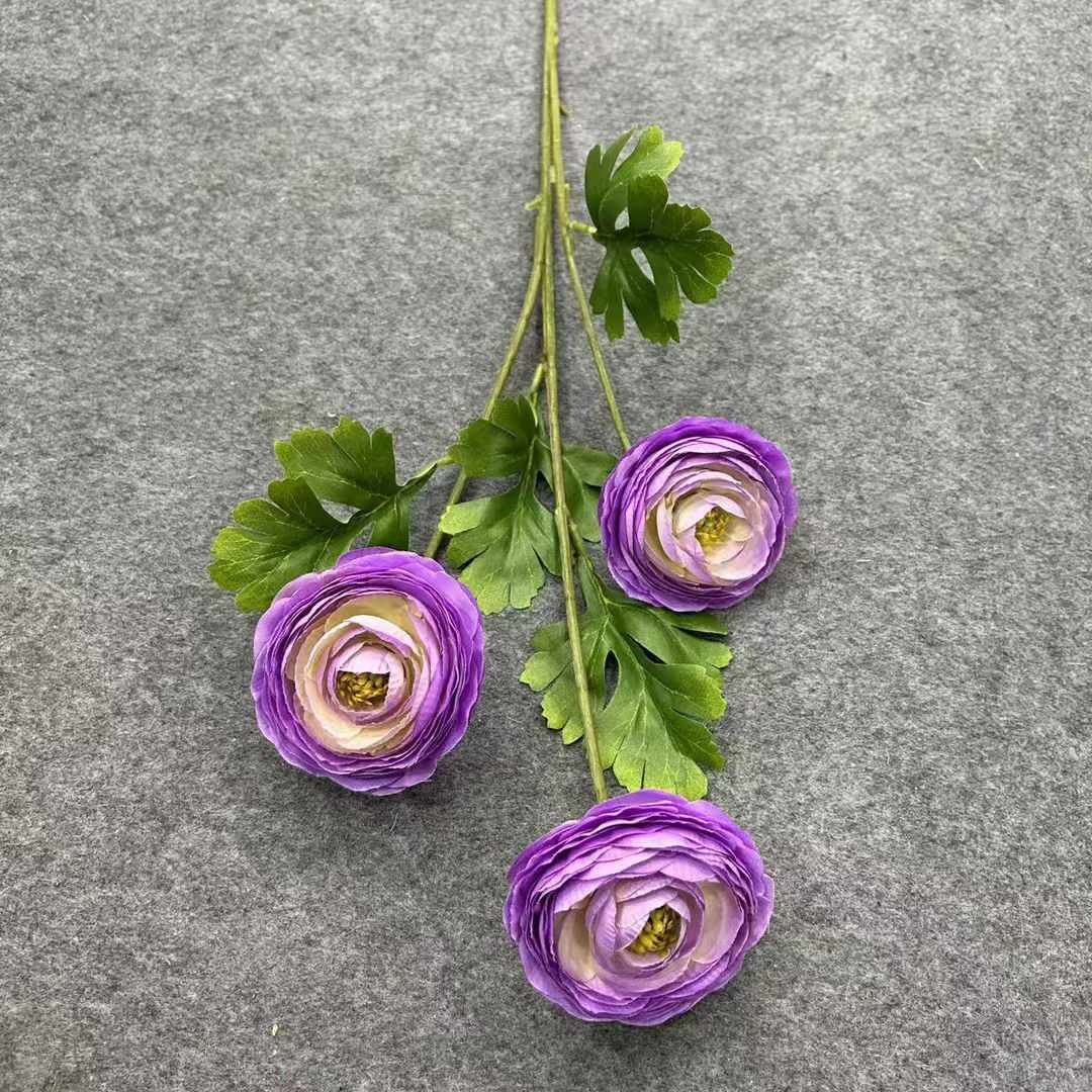 Ranunculus 5