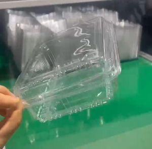 Envase Transparente Tipo Blister de PET <span class=keywords><strong>para</strong></span> Alimentos, Apto <span class=keywords><strong>para</strong></span> Frutas, Verduras y <span class=keywords><strong>Lechuga</strong></span>, con Impresión en Relieve - Product Image 2