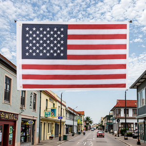 Bán buôn 3 * 5ft cờ Mỹ chất lượng cao polyester pennant với in kỹ thuật số cho kỳ nghỉ lễ hội lễ kỷ niệm - Product Image 2