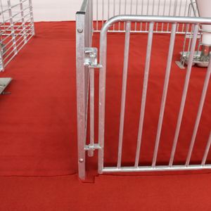 Clôture/stylo de finisseur de graisse d'équipement d'élevage de porc en acier galvanisé de vente chaude pour le porcelet - Product Image 5