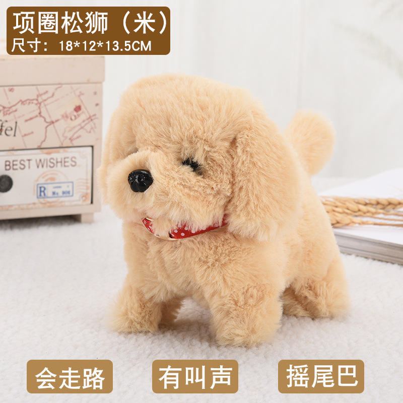 ปลอกคอสิงโต [M]]