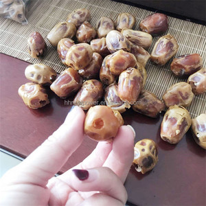 Machine à dénoyauter les dattes, les olives, les abricots secs et les pruneaux, capacité de 500 kg par heure, dispositif de retrait <span class=keywords><strong>des</strong></span> noyaux, en vente chaude - Product Image 1