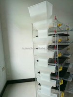 Vente Flash : Cage à Cailles en Métal Galvanisé de Haute Qualité avec Alimentation Semi-Automatique et Plateau de Collecte des Œufs pour Élevage Avicole HJ-QC400A