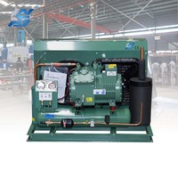 Sistem Pendingin Ruangan Freezer Penyimpanan Dingin Khusus dengan Unit Kondensor, Katup Evaporator, dan Kotak Kontrol Elitech