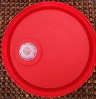 Ember Plastik Food Grade Daur Ulang Murah yang Dapat Disesuaikan Grosir 15L-30L Ember Plastik pp untuk Cat Minyak dengan Tutup dan Pegangan