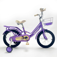 SY Vélo de Montagne Traditionnel 12 Varon Cadre en Acier Une Vitesse pour Sport en Plein Air Fabricant Grossiste