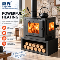 Poêle à bois haute efficacité pour chauffage intérieur, foyer multi-combustibles en fonte pour bois et charbon, four de chauffage domestique hivernal