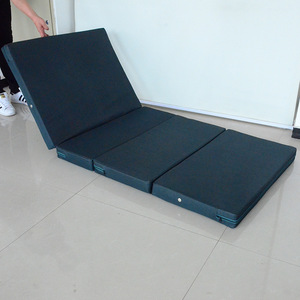 Ivy D01 <b>Mattress</b> Coconut Fiber Foam <b>Foldable</b> Elderly Care Bedding - Product Image 3