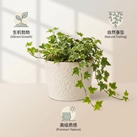 Pot Bunga Keramik Modern Minimalis Motif Relief Timbul, Custom Pabrik Cina, OEM ODM, Putih, Untuk Tanaman Indoor Kecil
