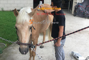 पोर्टेबल सदमे की लहर मशीन घोड़े के लिए/इक्वाइन Shockwave थेरेपी मशीन - Product Image 4