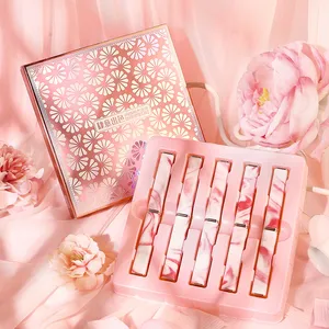 HIH rosa Box 5 Farben Lippenstift Kit romantische Blume schlanke Pfeife Lippenstift Anzug für Studenten Valentinstag Geschenk
