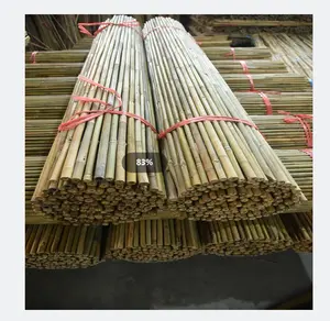 Cerca de bambu 100% natural da China 2024 com alta qualidade e preço competitivo para exportação